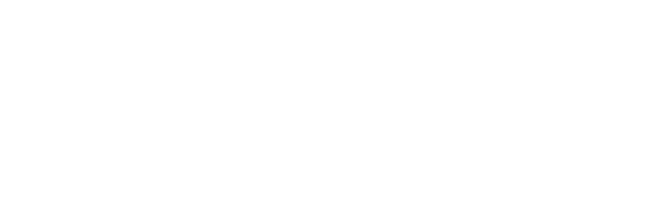 Eicon Srl